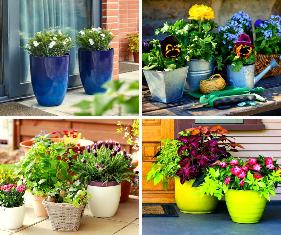 Potted Plants-Synergy Outdoor Living 