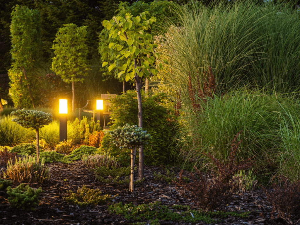 Outdoor landscape lighting in garden at night 