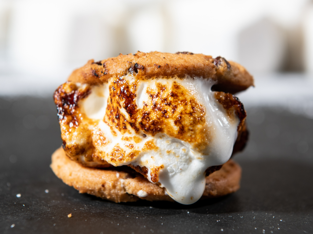 a toasted marshmallow sandwiched between two chocolate chip cookies